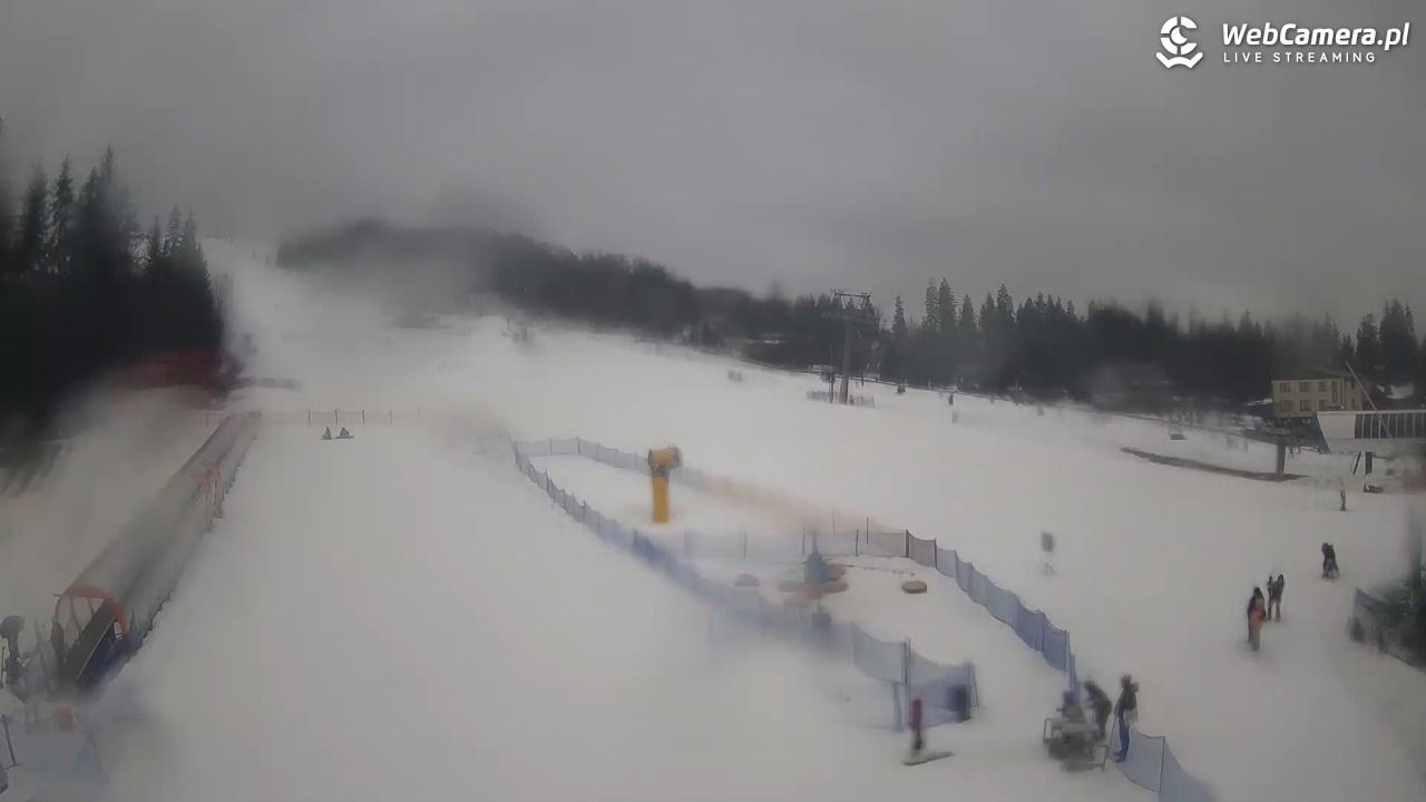 Złoty Groń - szkółka - 24 luty 2026, 10:26