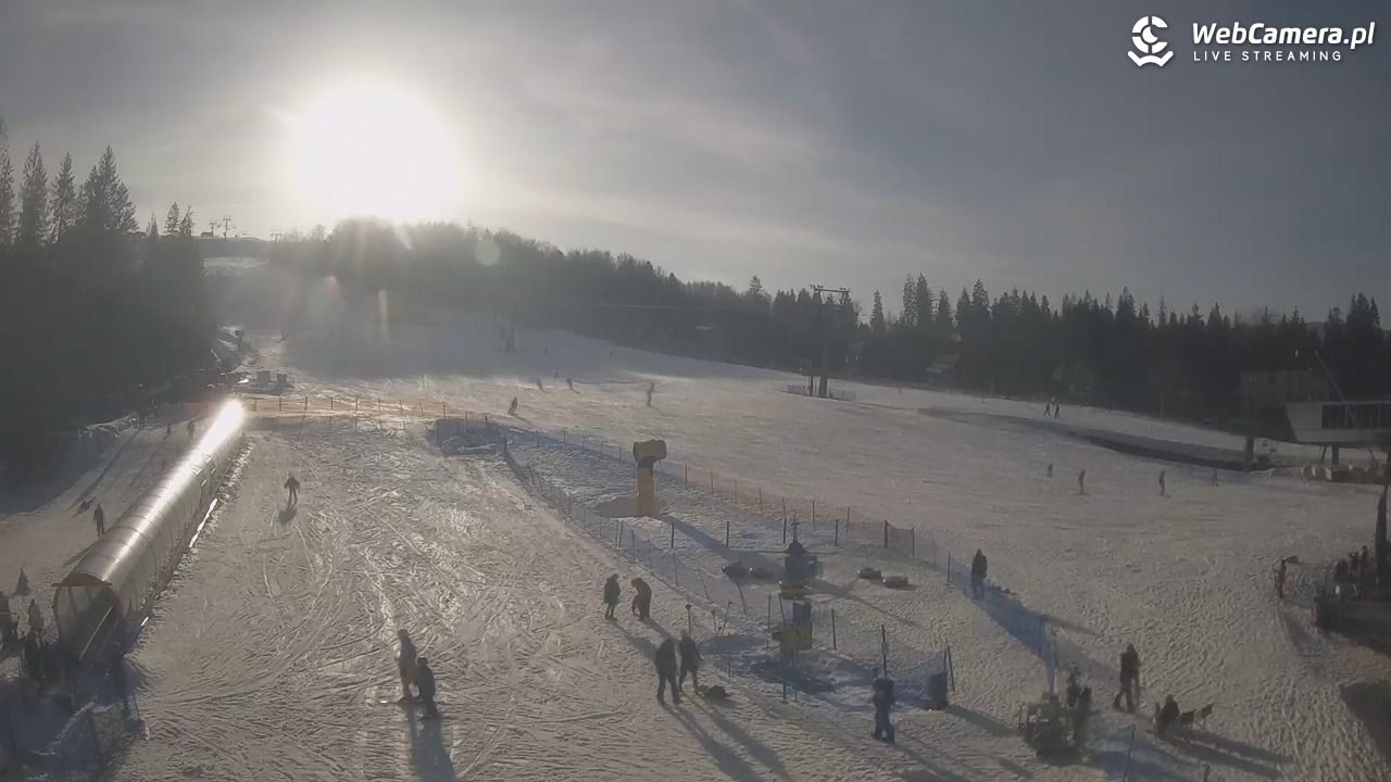 Złoty Groń - szkółka - 27 luty 2026, 15:26