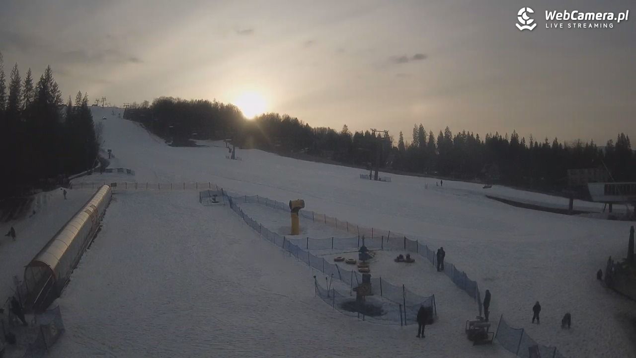 Złoty Groń - szkółka - 01 marzec 2026, 16:18