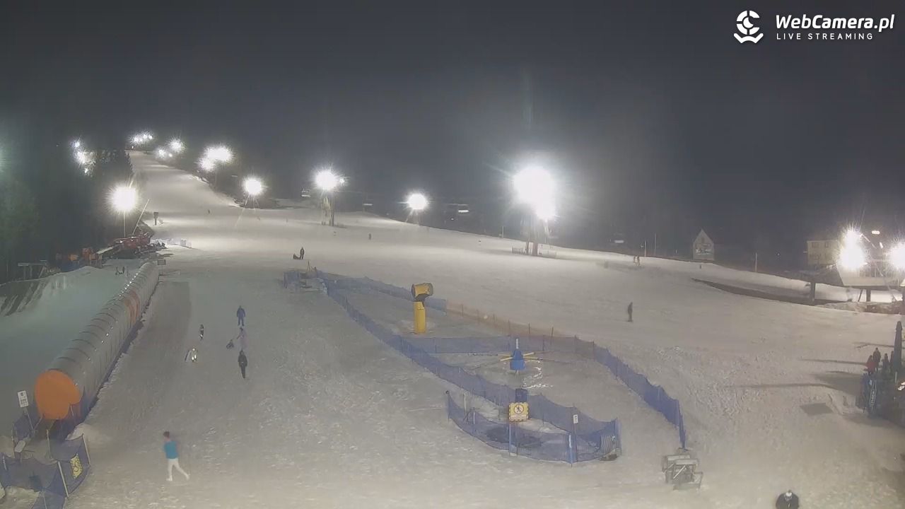 Złoty Groń - szkółka - 28 luty 2026, 19:29