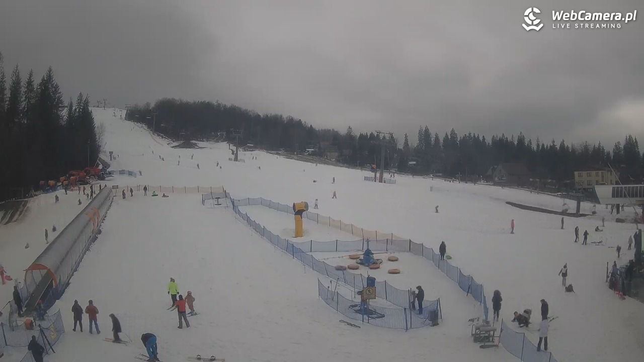 Złoty Groń - szkółka - 25 luty 2026, 13:59