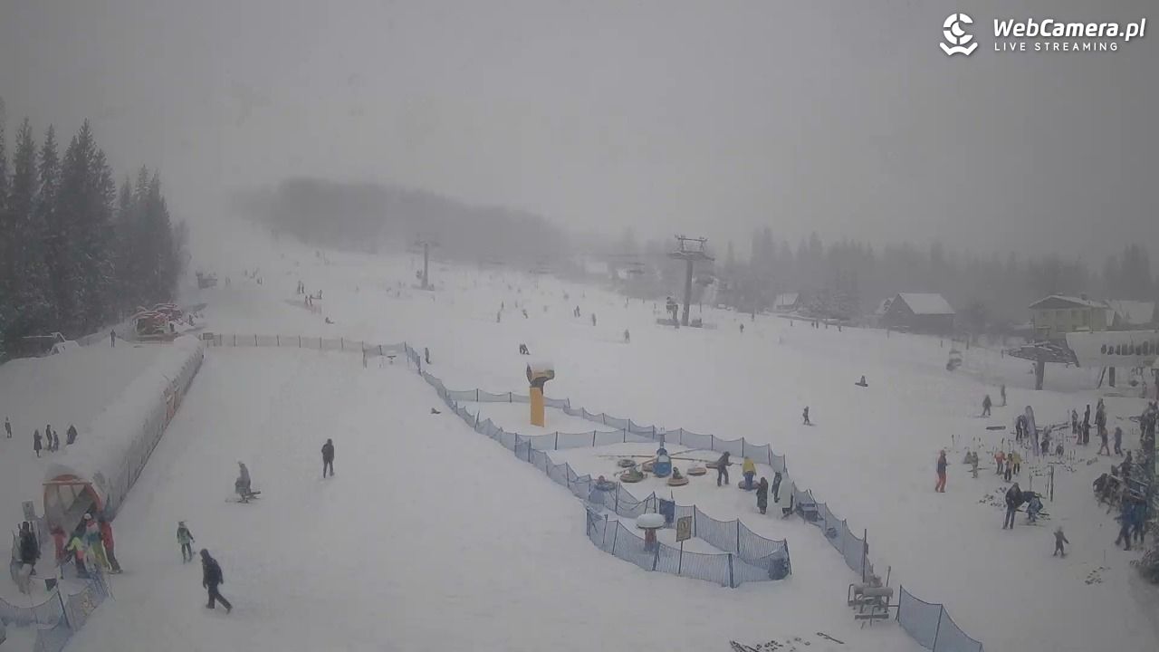 Złoty Groń - szkółka - 11 styczeń 2026, 12:24