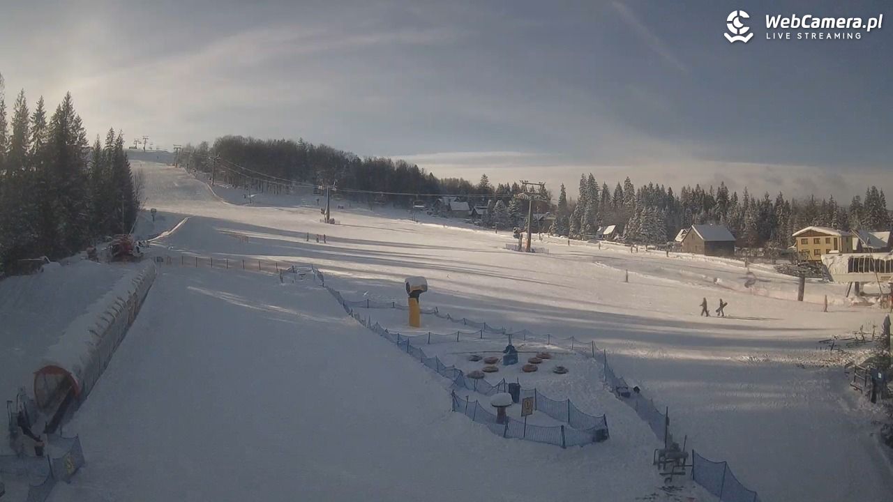 Złoty Groń - szkółka - 12 styczeń 2026, 12:44