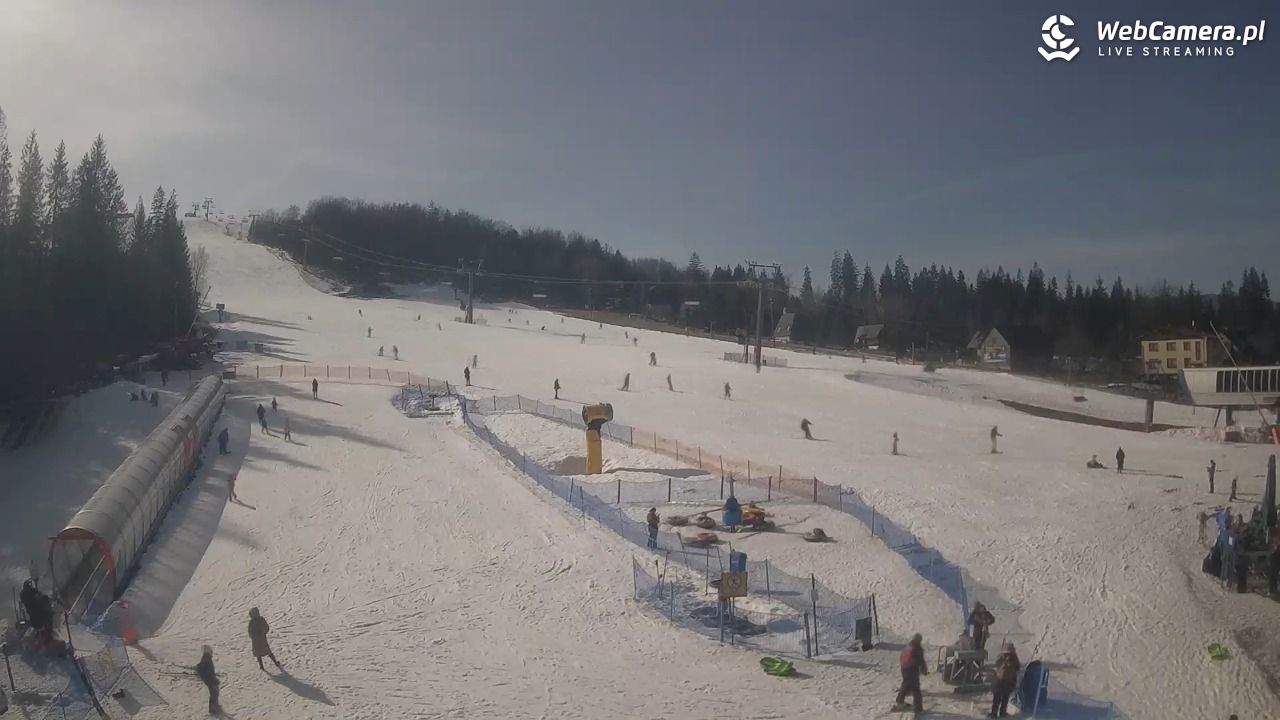 Złoty Groń - szkółka - 27 luty 2026, 12:59