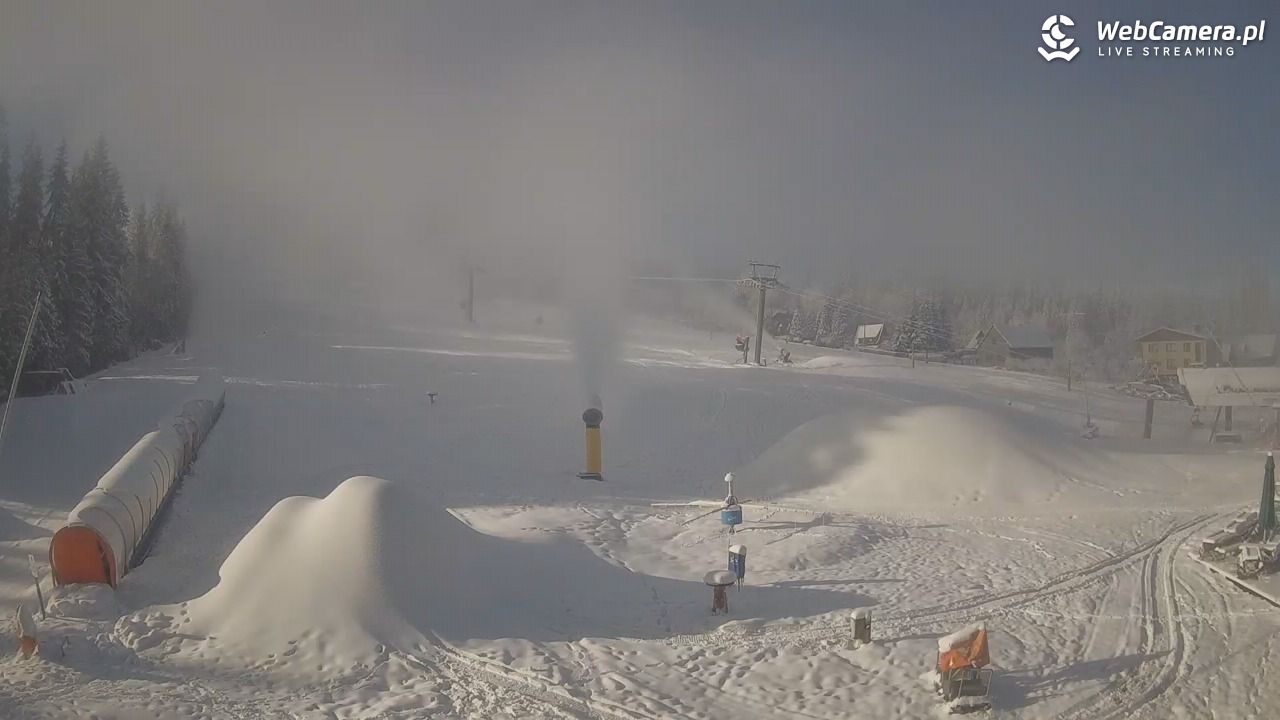 Złoty Groń - szkółka - 28 listopad 2025, 10:08