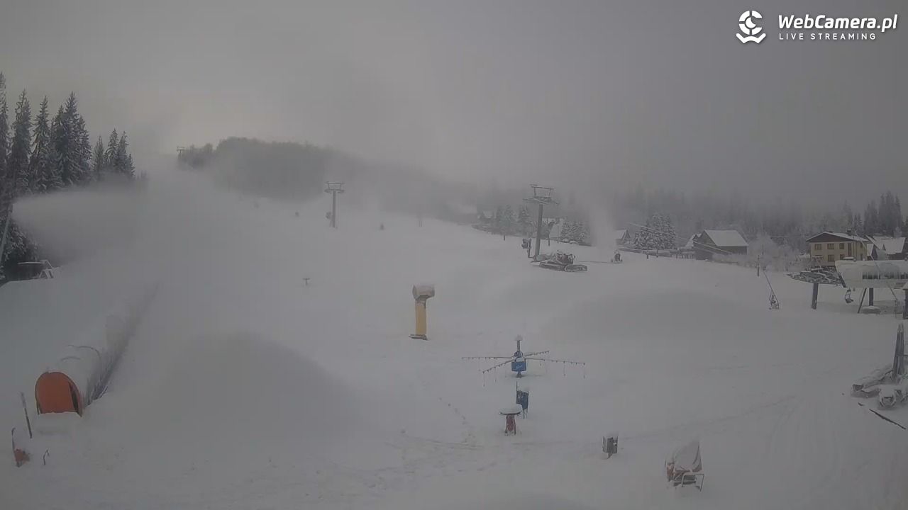 Złoty Groń - szkółka - 29 listopad 2025, 10:03