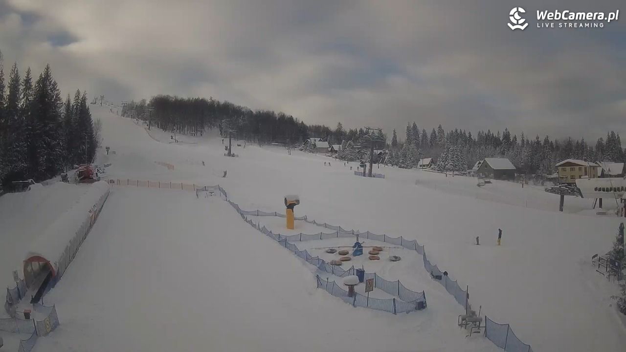 Złoty Groń - szkółka - 12 styczeń 2026, 10:14