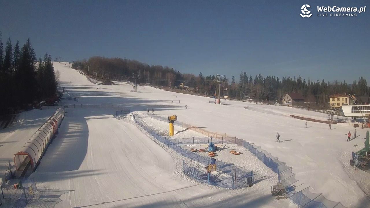 Złoty Groń - szkółka - 27 luty 2026, 09:01