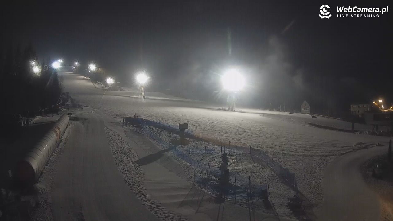 Złoty Groń - szkółka - 25 luty 2026, 21:47