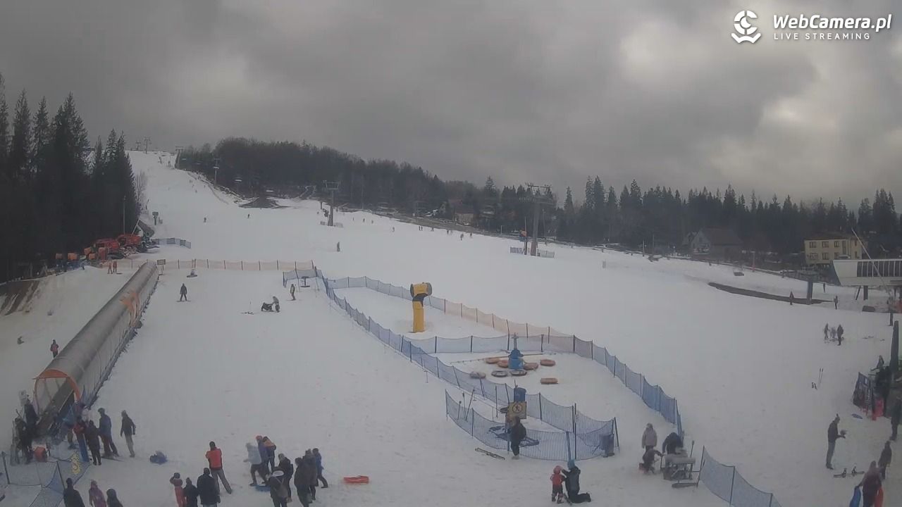 Złoty Groń - szkółka - 25 luty 2026, 14:26