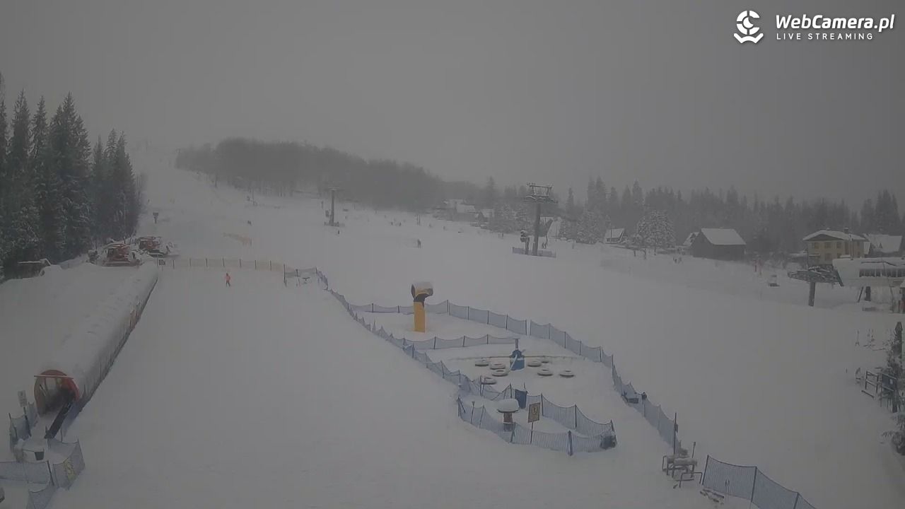 Złoty Groń - szkółka - 13 styczeń 2026, 11:19