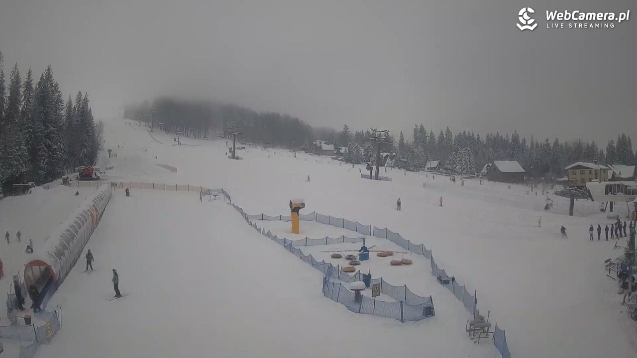 Złoty Groń - szkółka - 14 styczeń 2026, 10:37