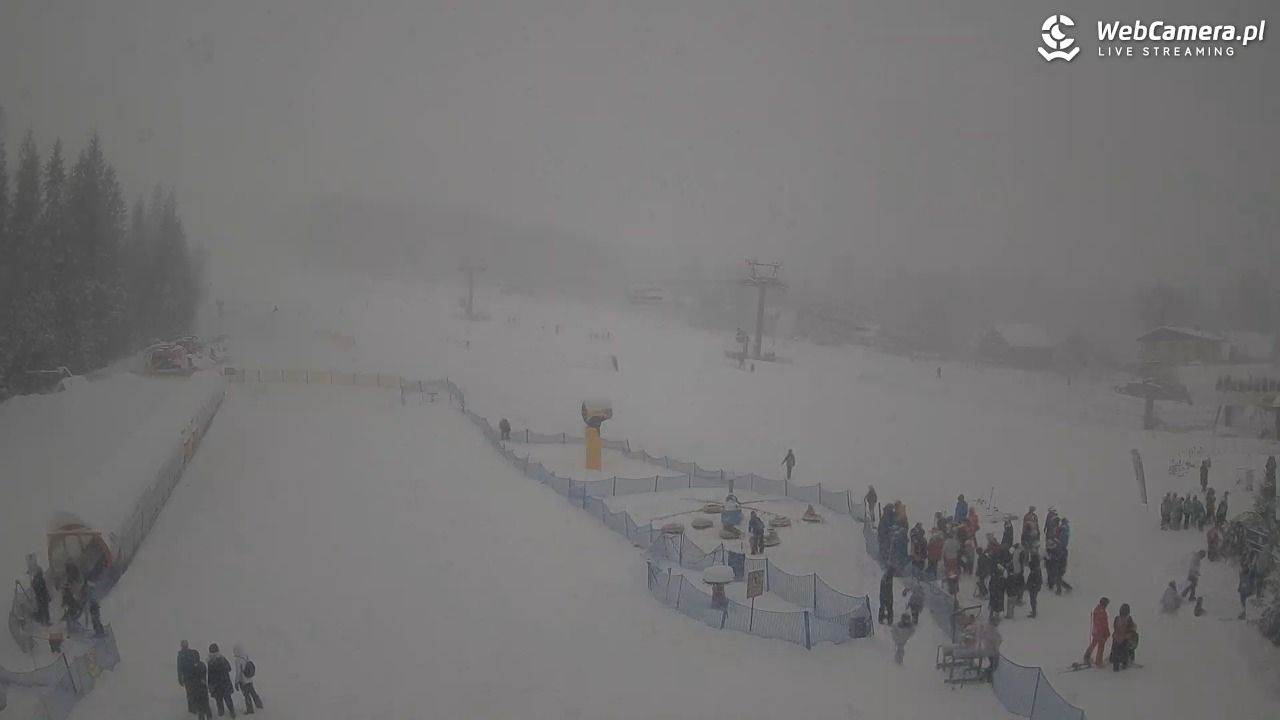 Złoty Groń - szkółka - 11 styczeń 2026, 14:08