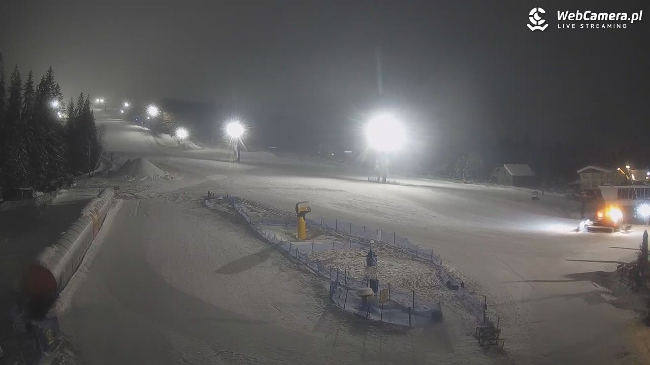 Złoty Groń - szkółka - 14 styczeń 2026, 21:52