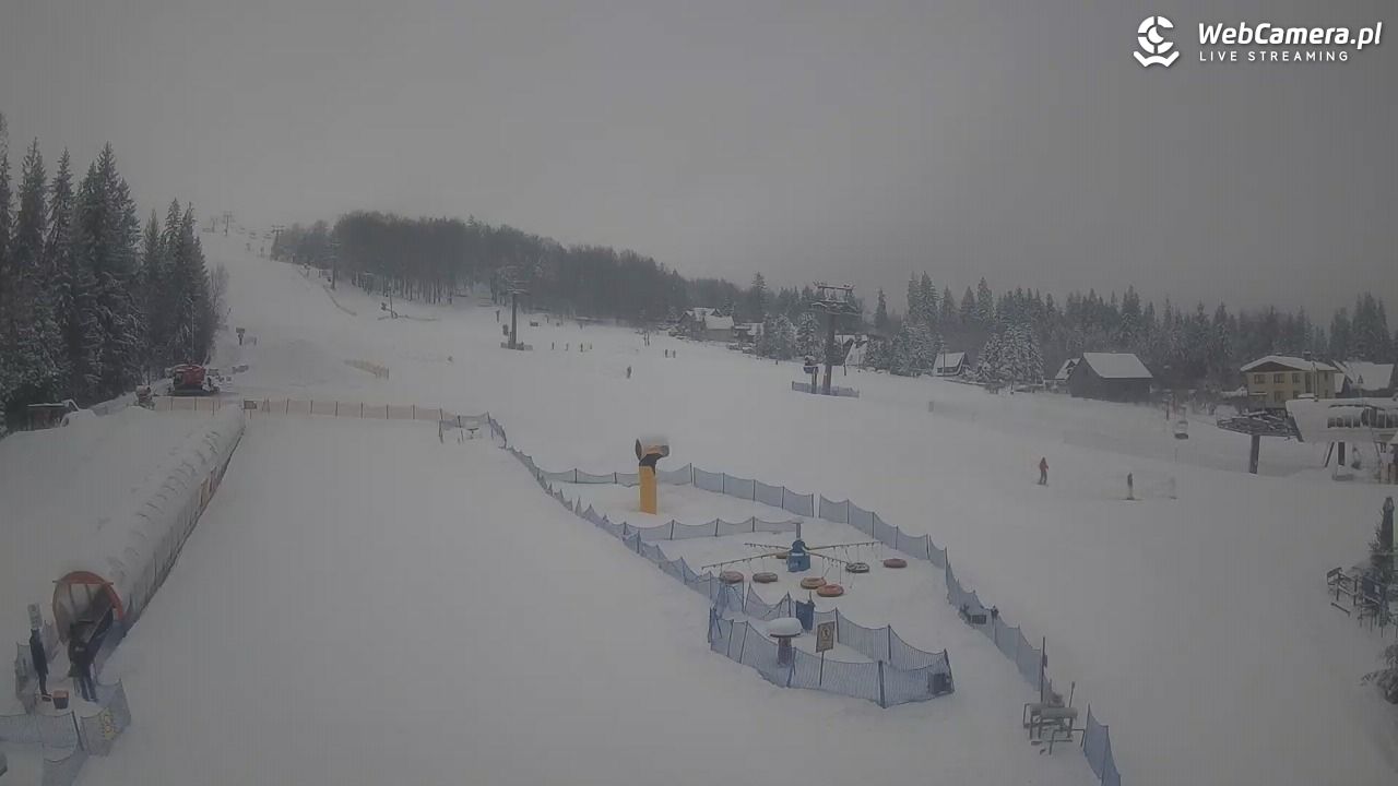 Złoty Groń - szkółka - 14 styczeń 2026, 08:38