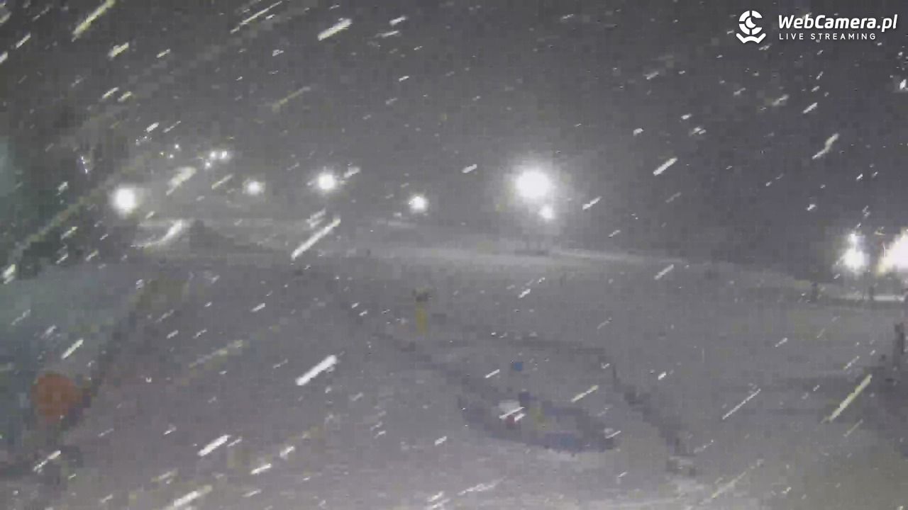 Złoty Groń - szkółka - 11 styczeń 2026, 18:27