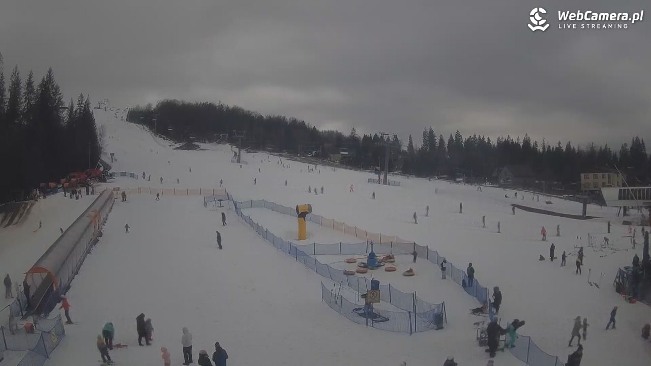 Złoty Groń - szkółka - 25 luty 2026, 13:32