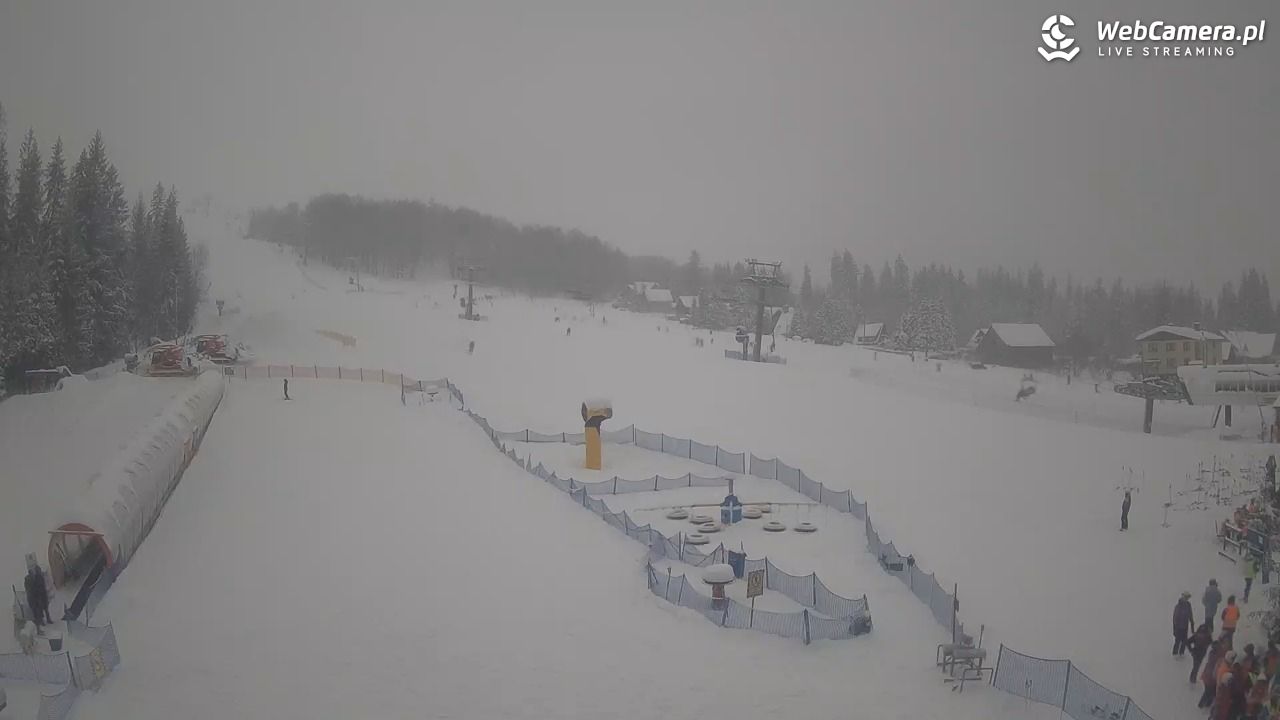 Złoty Groń - szkółka - 13 styczeń 2026, 11:49