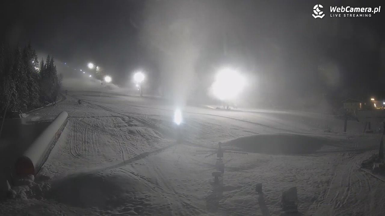 Złoty Groń - szkółka - 26 listopad 2025, 20:48