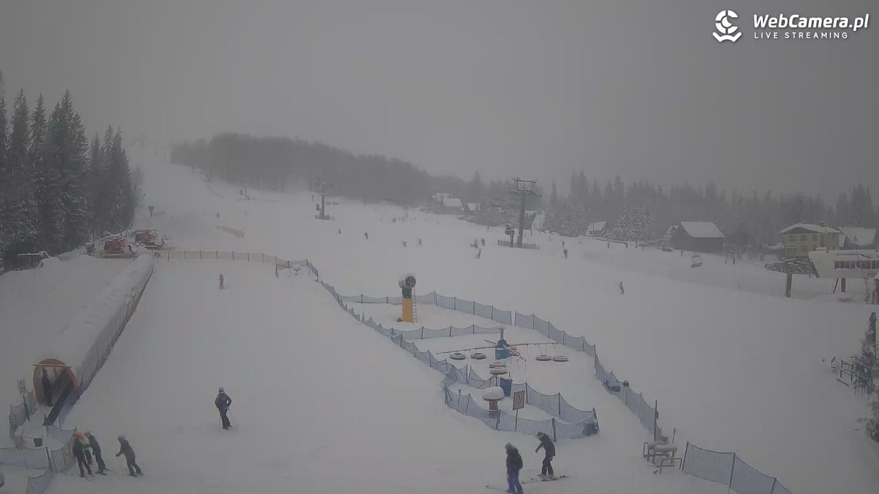 Złoty Groń - szkółka - 13 styczeń 2026, 10:04