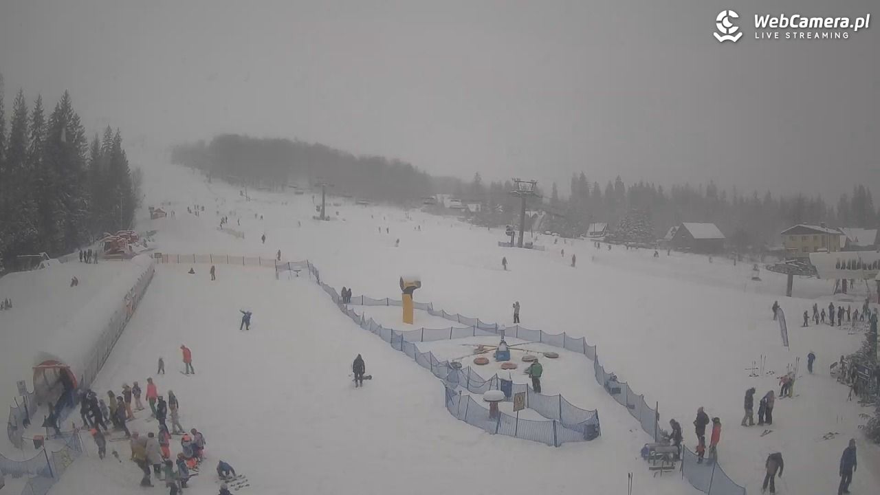 Złoty Groń - szkółka - 11 styczeń 2026, 11:21