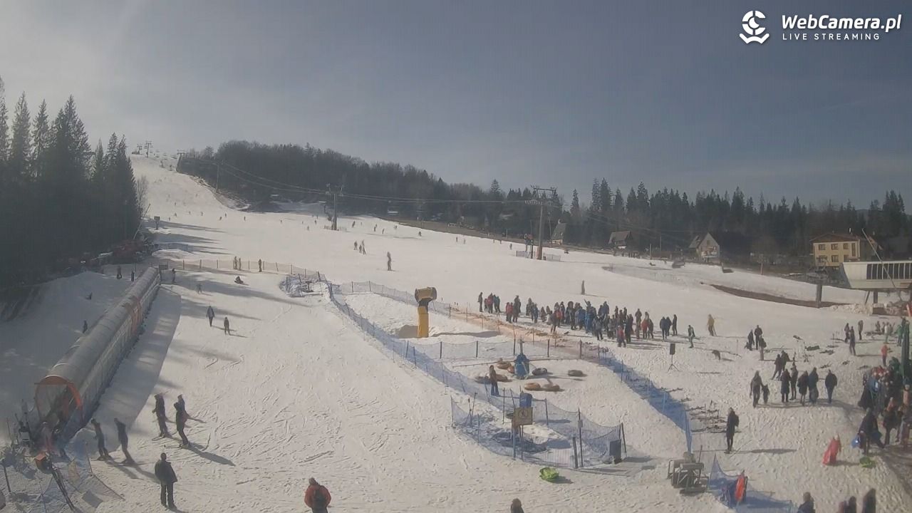 Złoty Groń - szkółka - 27 luty 2026, 12:38