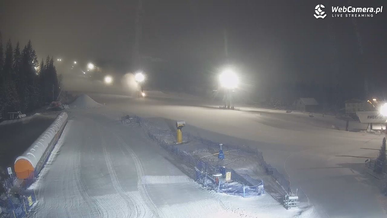 Złoty Groń - szkółka - 11 styczeń 2026, 01:35