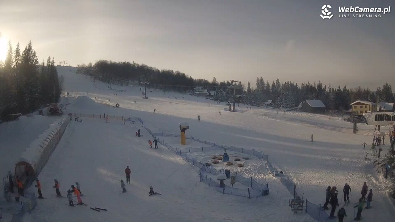 Złoty Groń - szkółka - 12 styczeń 2026, 13:50