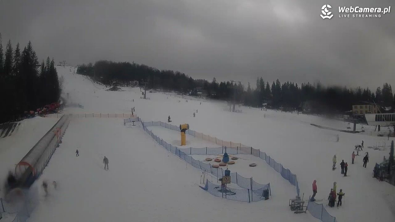 Złoty Groń - szkółka - 24 luty 2026, 11:58