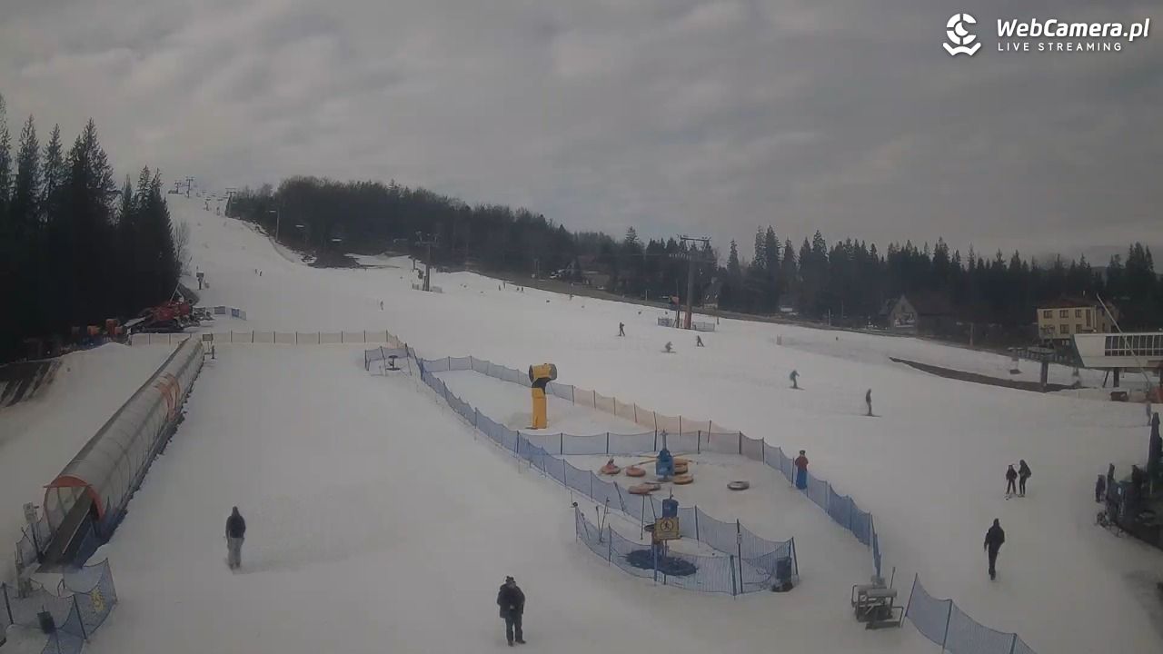 Złoty Groń - szkółka - 01 marzec 2026, 09:20