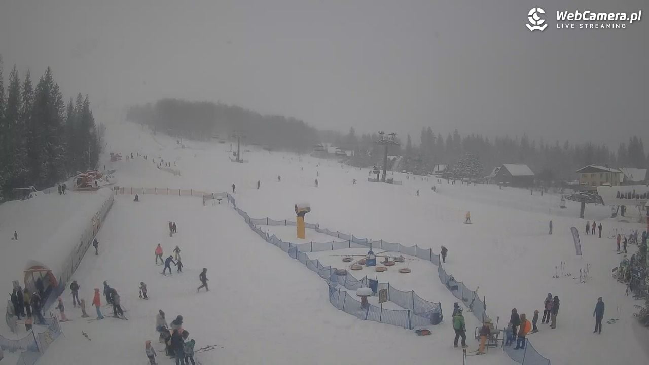 Złoty Groń - szkółka - 11 styczeń 2026, 11:26