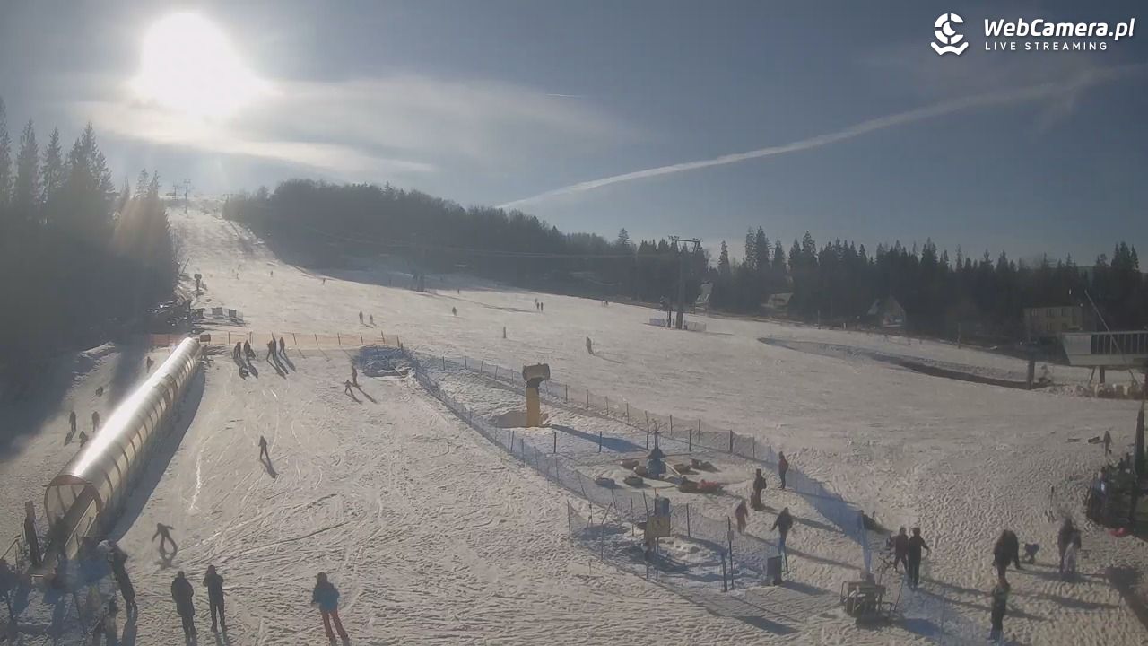 Złoty Groń - szkółka - 26 luty 2026, 14:43