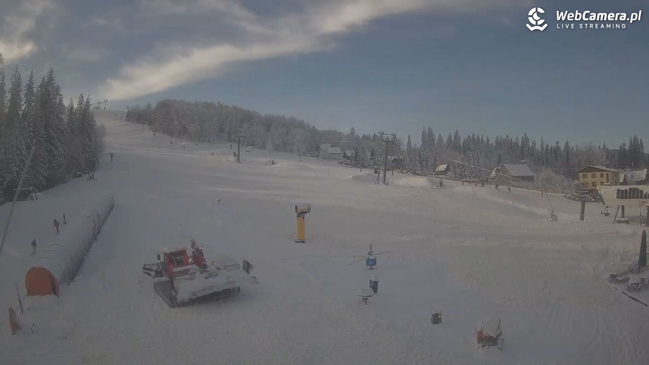 Złoty Groń - szkółka - 30 listopad 2025, 12:07