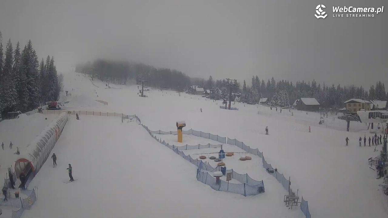 Złoty Groń - szkółka - 14 styczeń 2026, 10:37