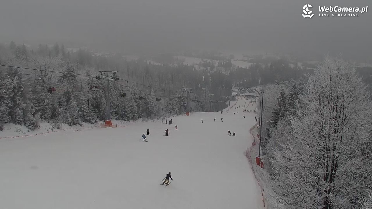 ZWARDOŃ -Ski - Mały Rachowiec - 31 styczeń 2026, 11:15