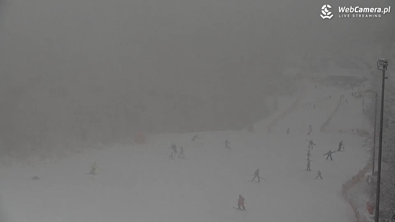 ZWARDOŃ -Ski - Mały Rachowiec - 31 styczeń 2026, 09:57