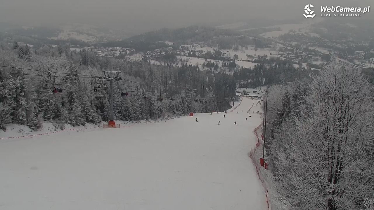 ZWARDOŃ -Ski - Mały Rachowiec - 31 styczeń 2026, 15:07