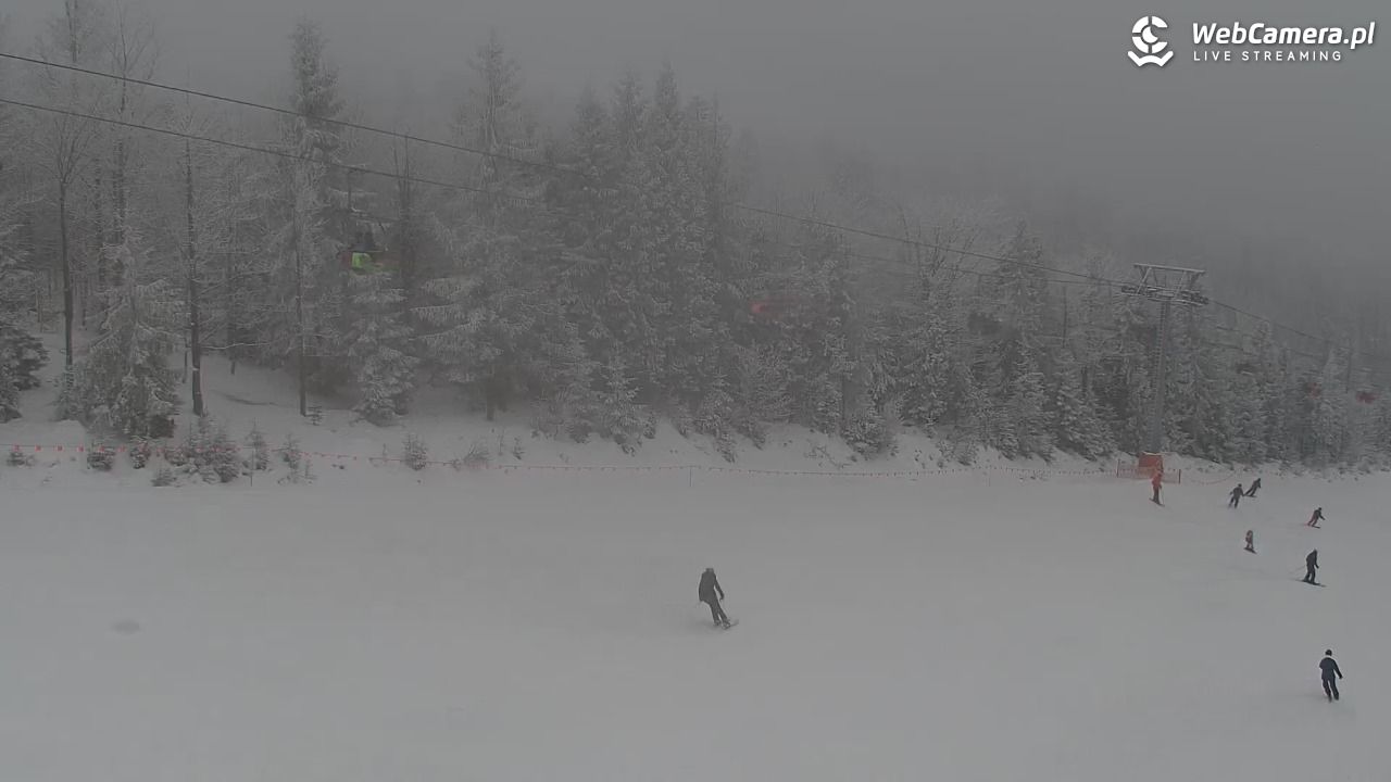 ZWARDOŃ -Ski - Mały Rachowiec - 31 styczeń 2026, 10:57