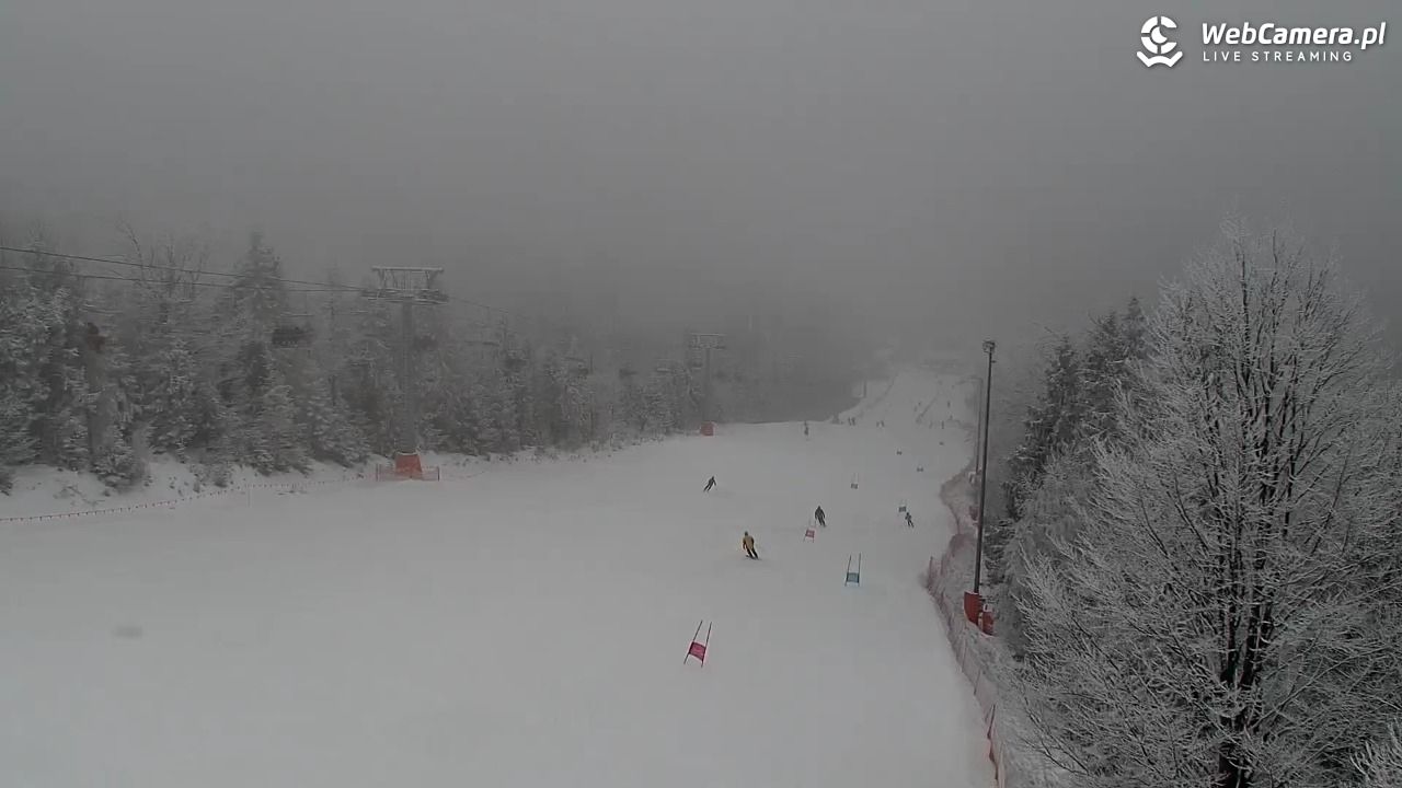 ZWARDOŃ -Ski - Mały Rachowiec - 31 styczeń 2026, 09:55