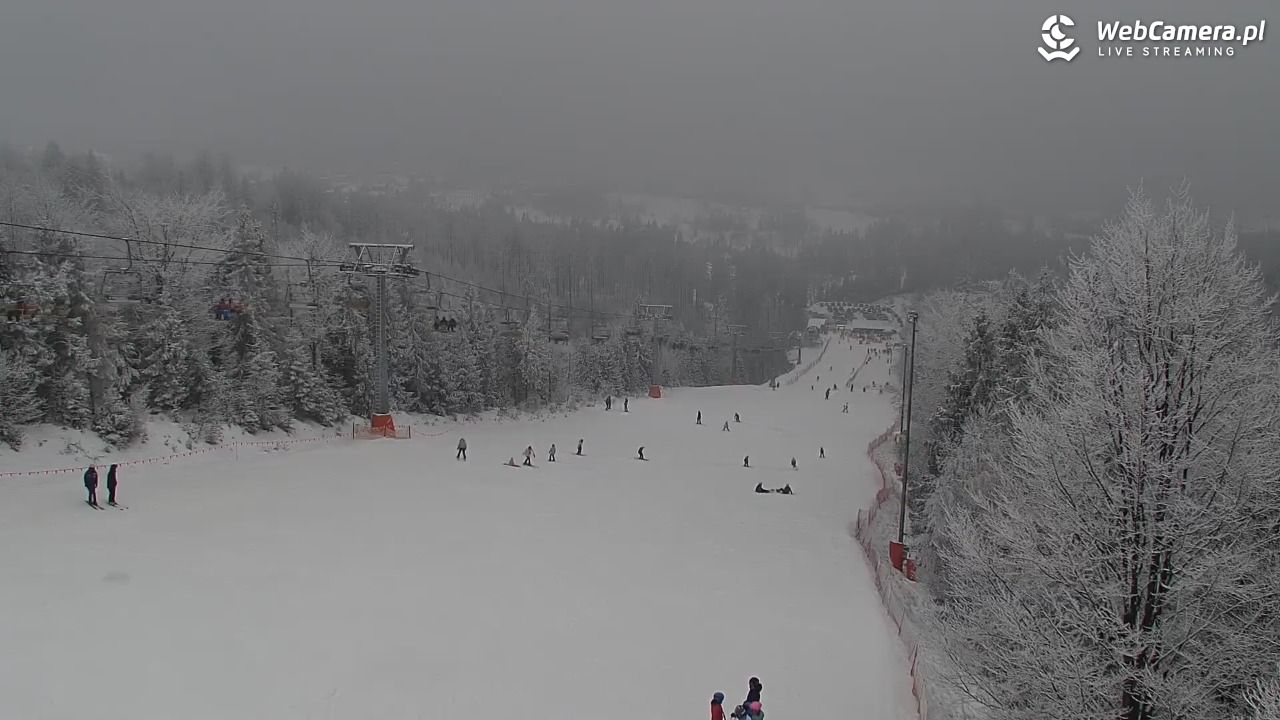 ZWARDOŃ -Ski - Mały Rachowiec - 31 styczeń 2026, 11:08