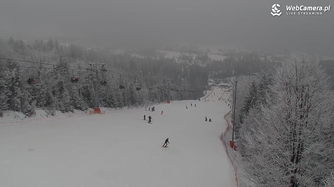 ZWARDOŃ -Ski - Mały Rachowiec - 31 styczeń 2026, 11:15