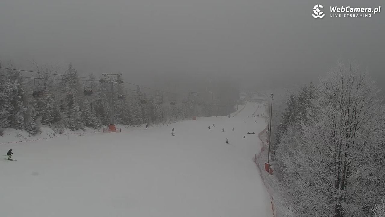 ZWARDOŃ -Ski - Mały Rachowiec - 31 styczeń 2026, 10:10