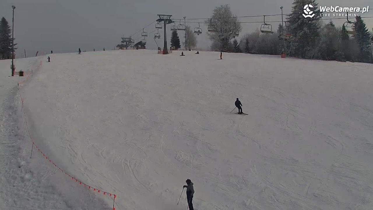 ZWARDOŃ -Ski - Mały Rachowiec - 31 styczeń 2026, 14:19