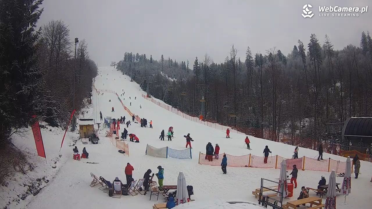 ZWARDOŃ -ski stacja dolna - 31 styczeń 2026, 15:14