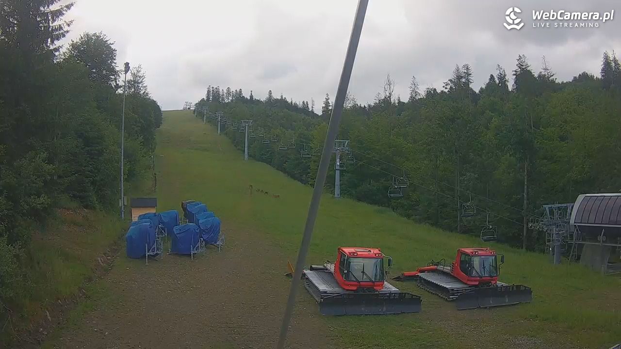 ZWARDOŃ -ski stacja dolna - 28 czerwiec 2025, 06:10