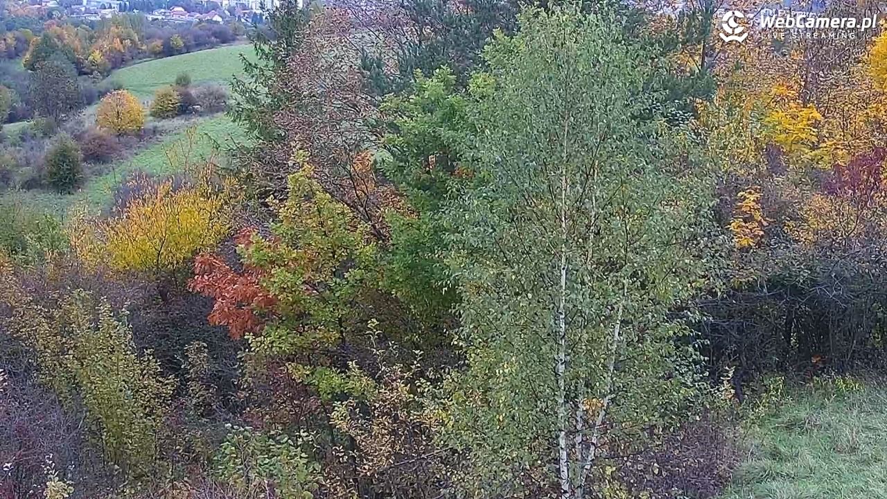 Żywiec - panorama miasta NOWOŚĆ - 16 październik 2025, 16:03
