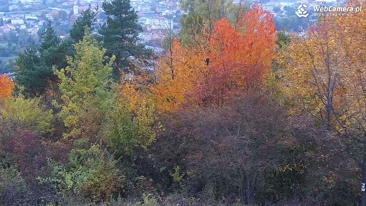 Żywiec - panorama miasta NOWOŚĆ - 15 październik 2025, 16:23
